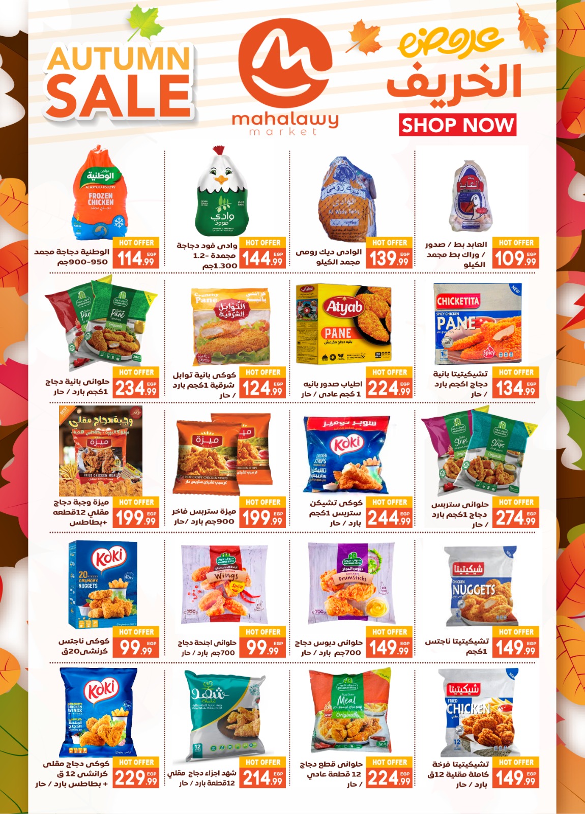 el-mahallawy-sons offers from 23oct to 2oct 2025 عروض اولاد المحلاوى من 23 أكتوبر حتى 2 أكتوبر 2025 صفحة رقم 13